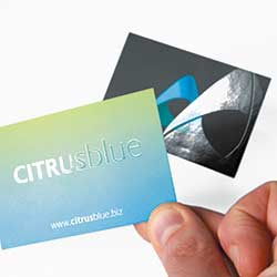 Starmarque business cards on white