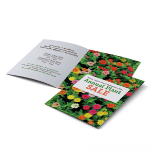 Small Quantity A6 Folded Brochures