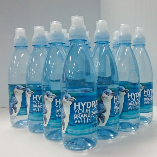 Branded Water Bottles | printing.com