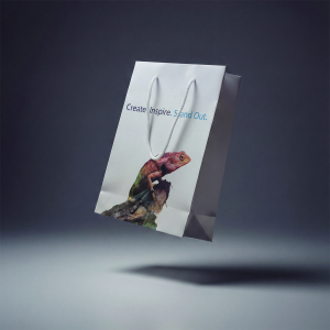 Classic Rope Handle Paper Bags