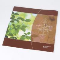 Medium vierkante brochures: 150 grams Glans