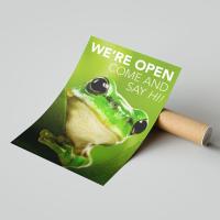 Indoor Posters