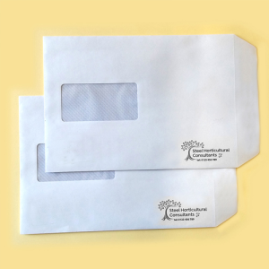 100gsm Spot Colour Envelopes
