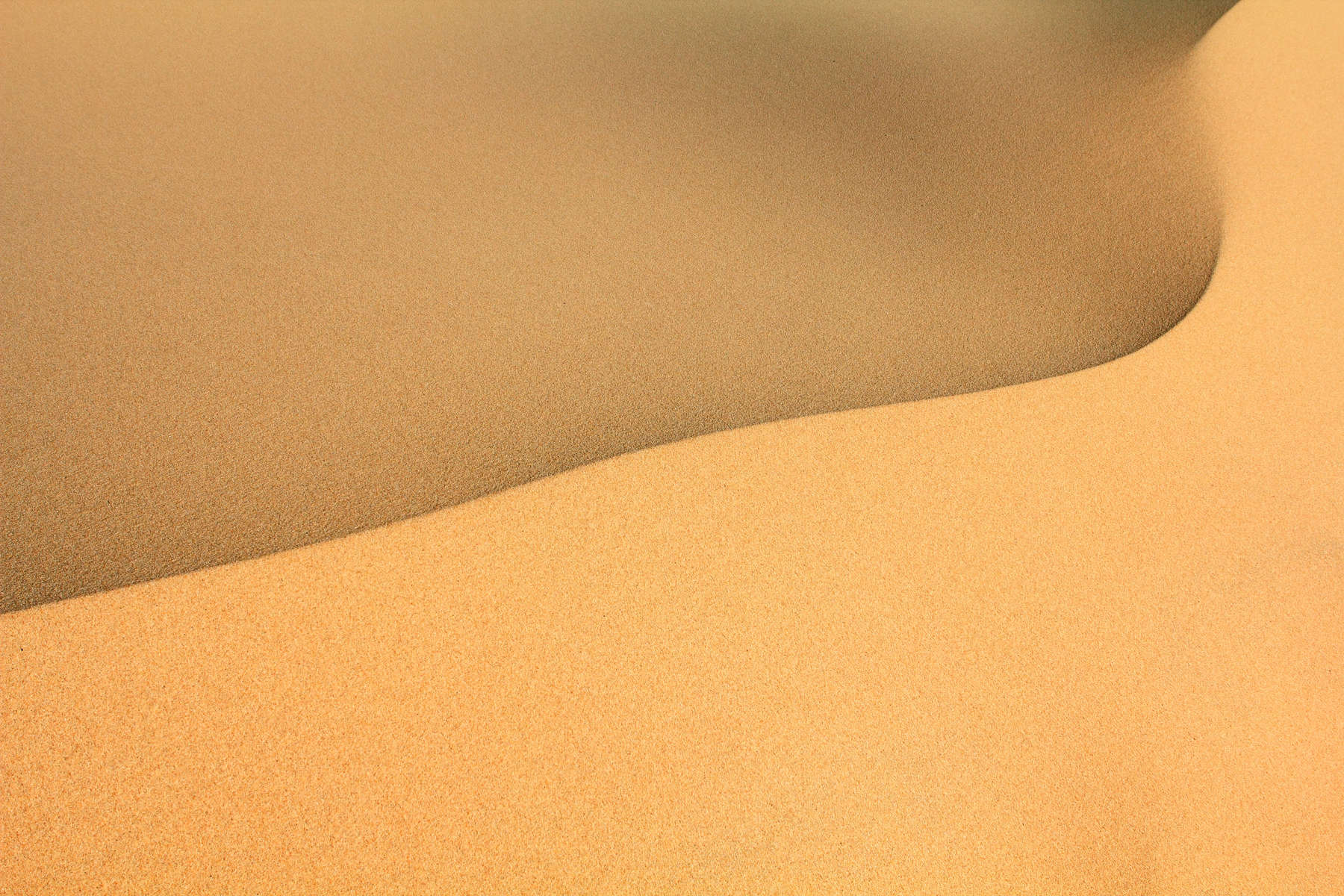 Crest of sand dune