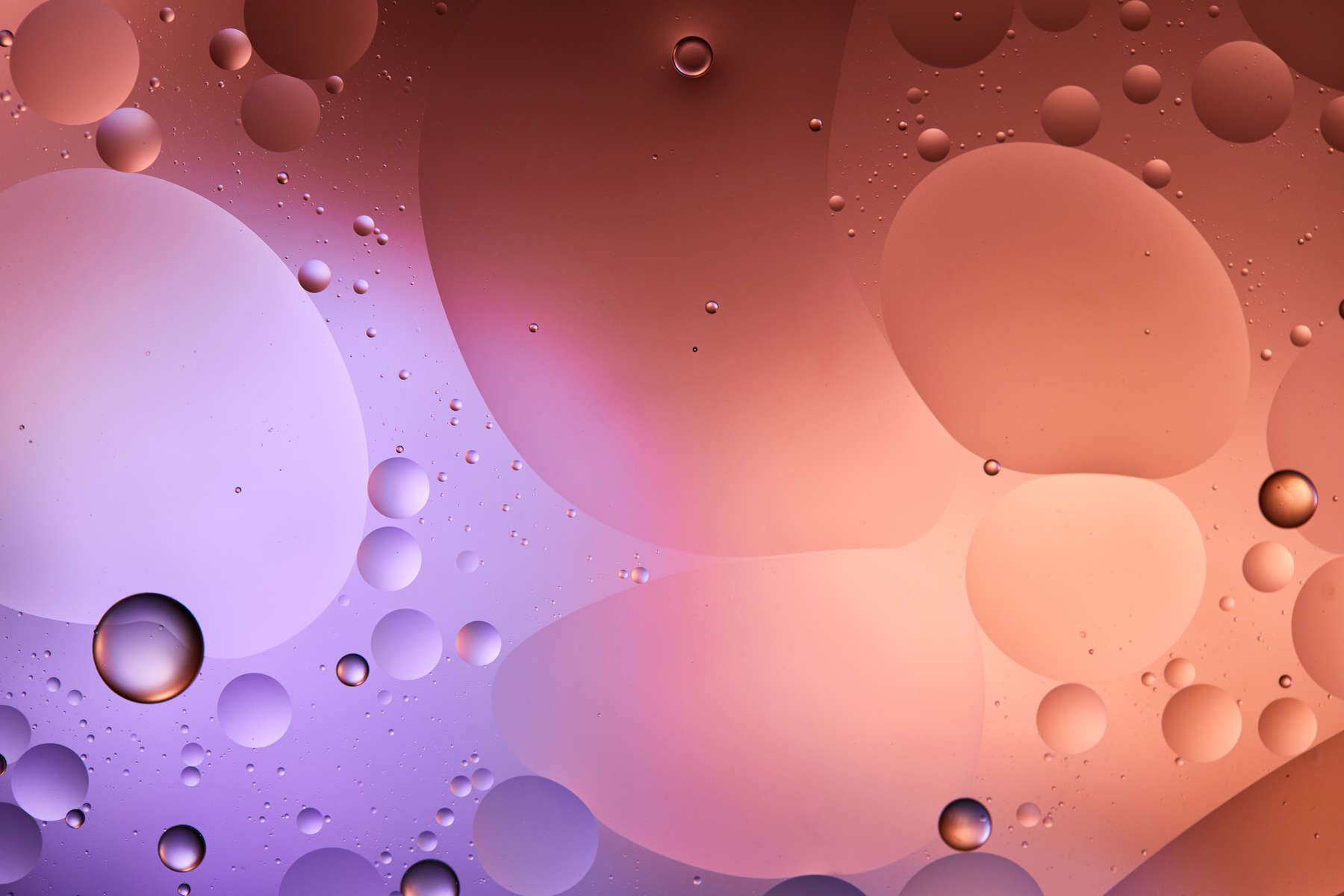 abstract purple and pink color texture from mixed water and oil bubbles