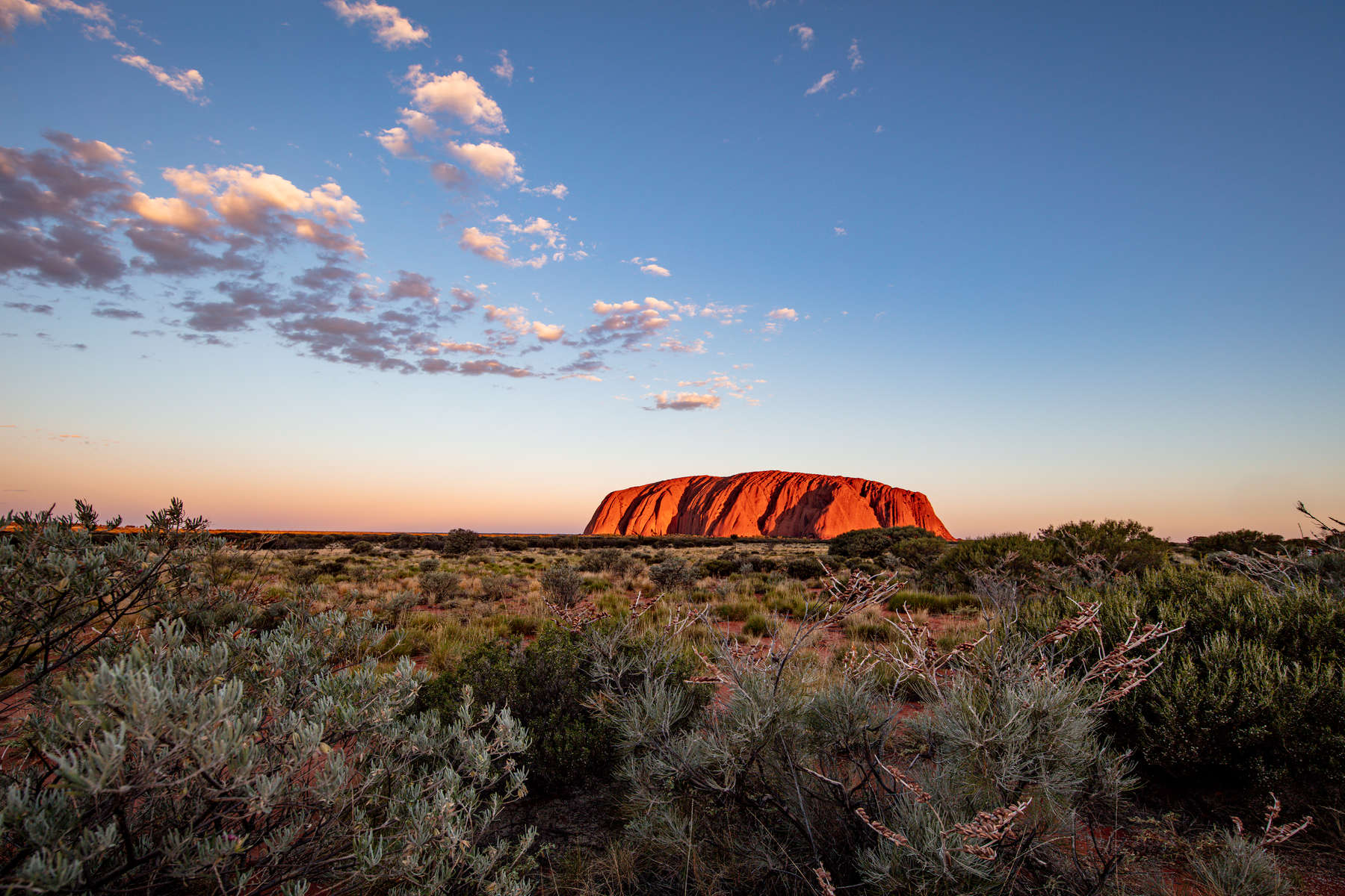 Outback, Australia - November 12, 2022: Sunrise at the Majestic Uluru or Ayers Rock at in the Northern Territory, Australia. The red rock in the center of the Australian outback. impressive landscape