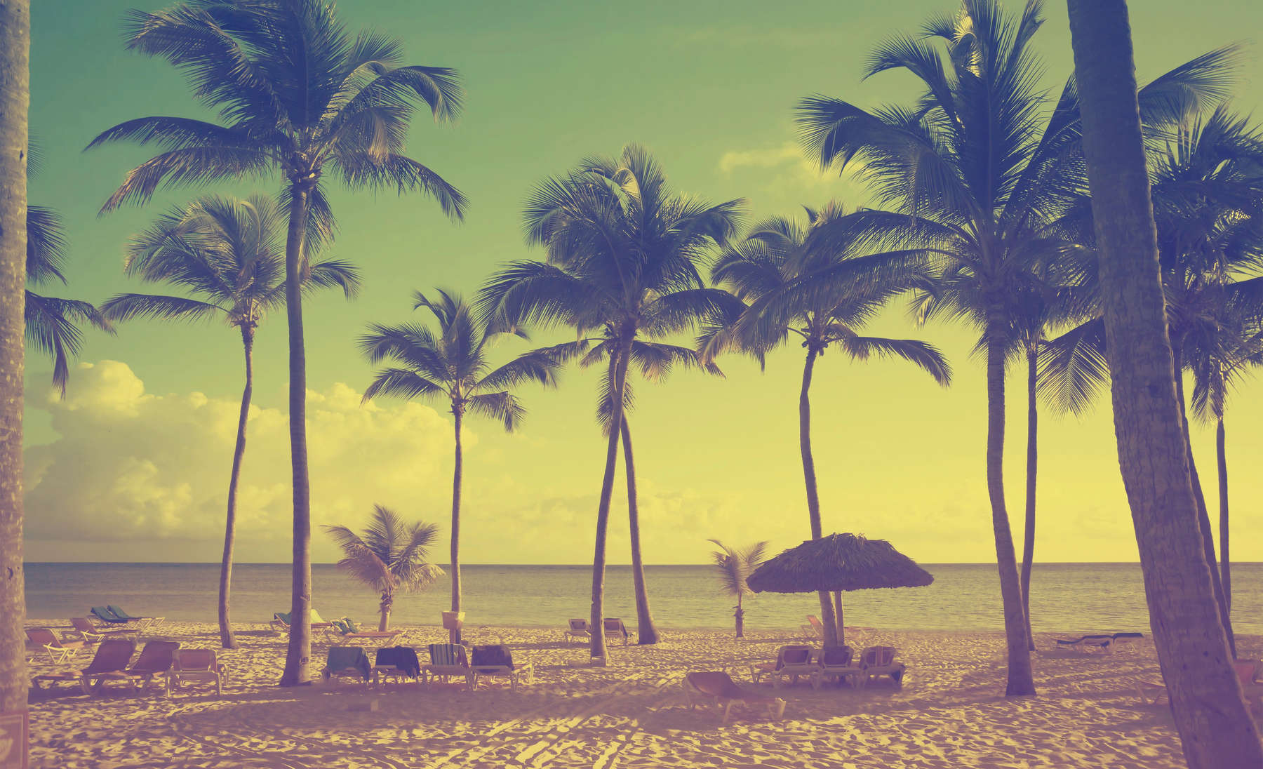 Art  beautiful retro seaside view  background