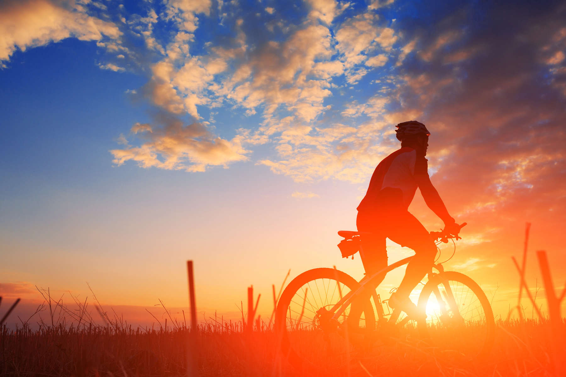 mountain bicycle rider on the hill