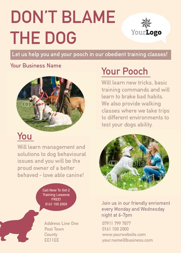 Dog Care A6 Flyers by Rebecca Doherty