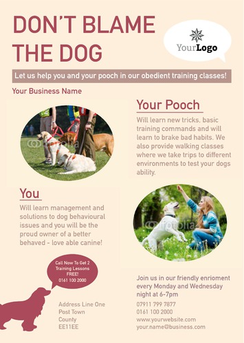 Dog Care A4 Flyers by Rebecca Doherty