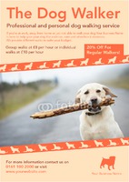 Dog Walkers A5 Flyers by Templatecloud 