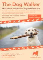 Dog Walkers A4 Flyers by Templatecloud 
