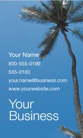 Photographer 2" x 3.5" Business Cards by Templatecloud 