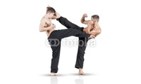 Martial Arts 2" x 3.5" Business Cards by Templatecloud 