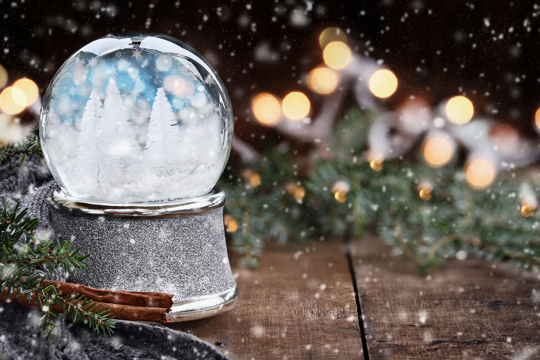 Silver Snow Globe with White Christmas Trees